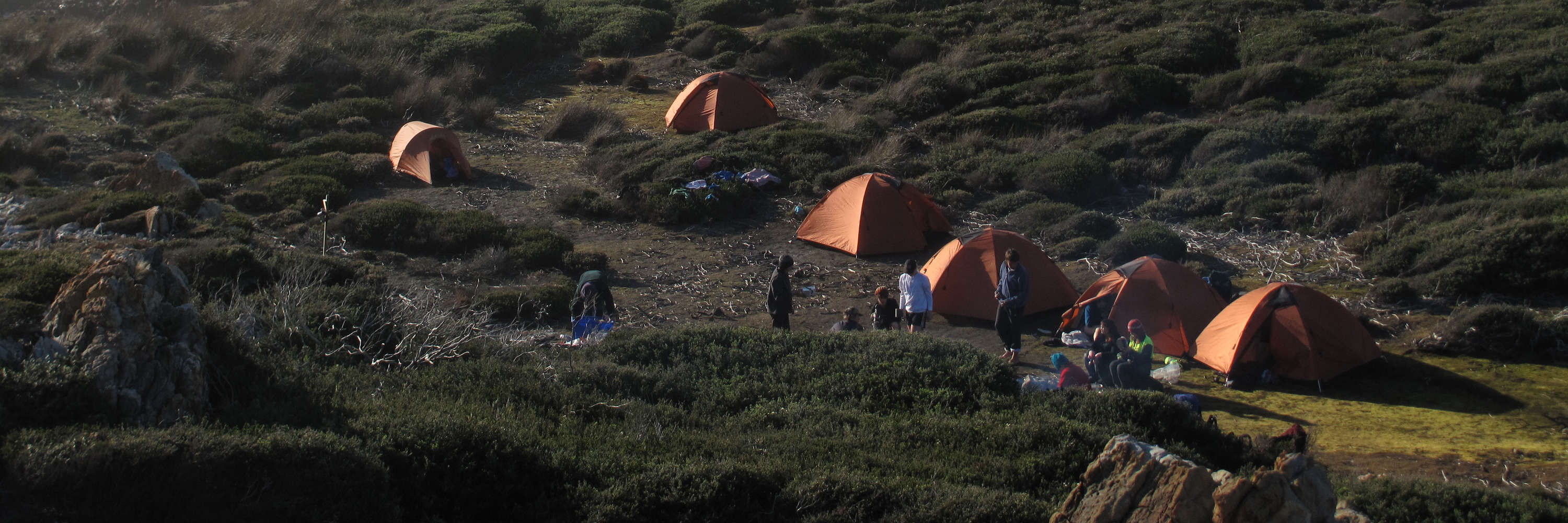 Distant view of a rocky coastline with six orange tents. Photo: Andrew Hughes.