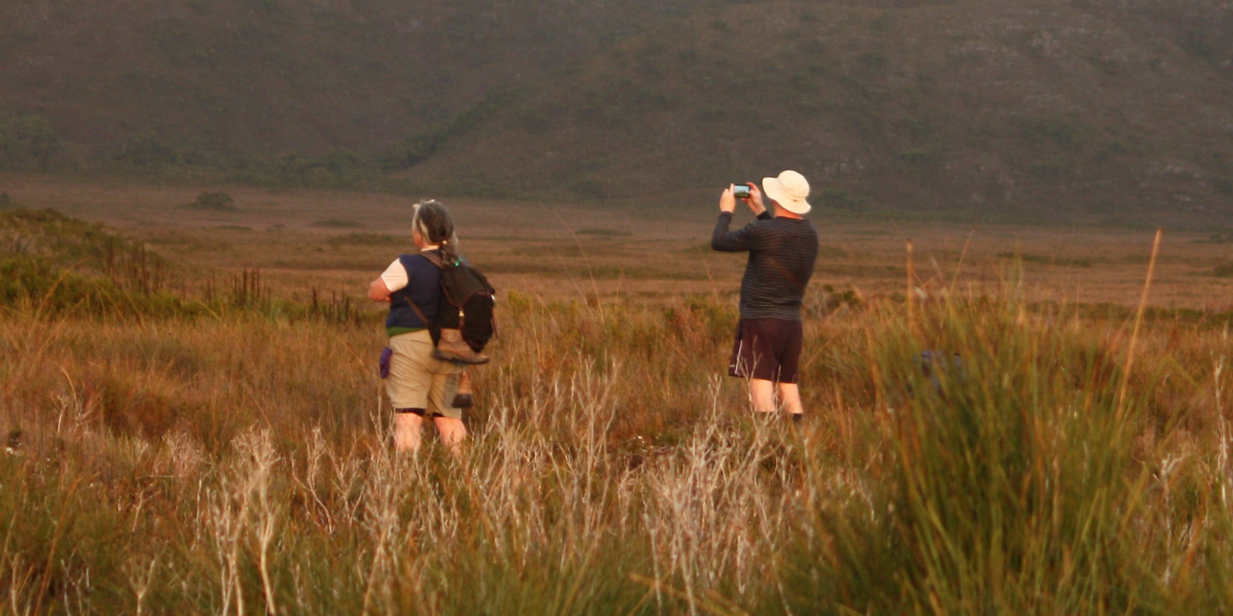 ‘Team Melaleuca’ carry out Where? Where? Wedgie! in the World Heritage Area, southern Tasmania. Standing in buttongrass with a mountain in the distance, they survey the area with binoculars. Photo: Persia Brooks.