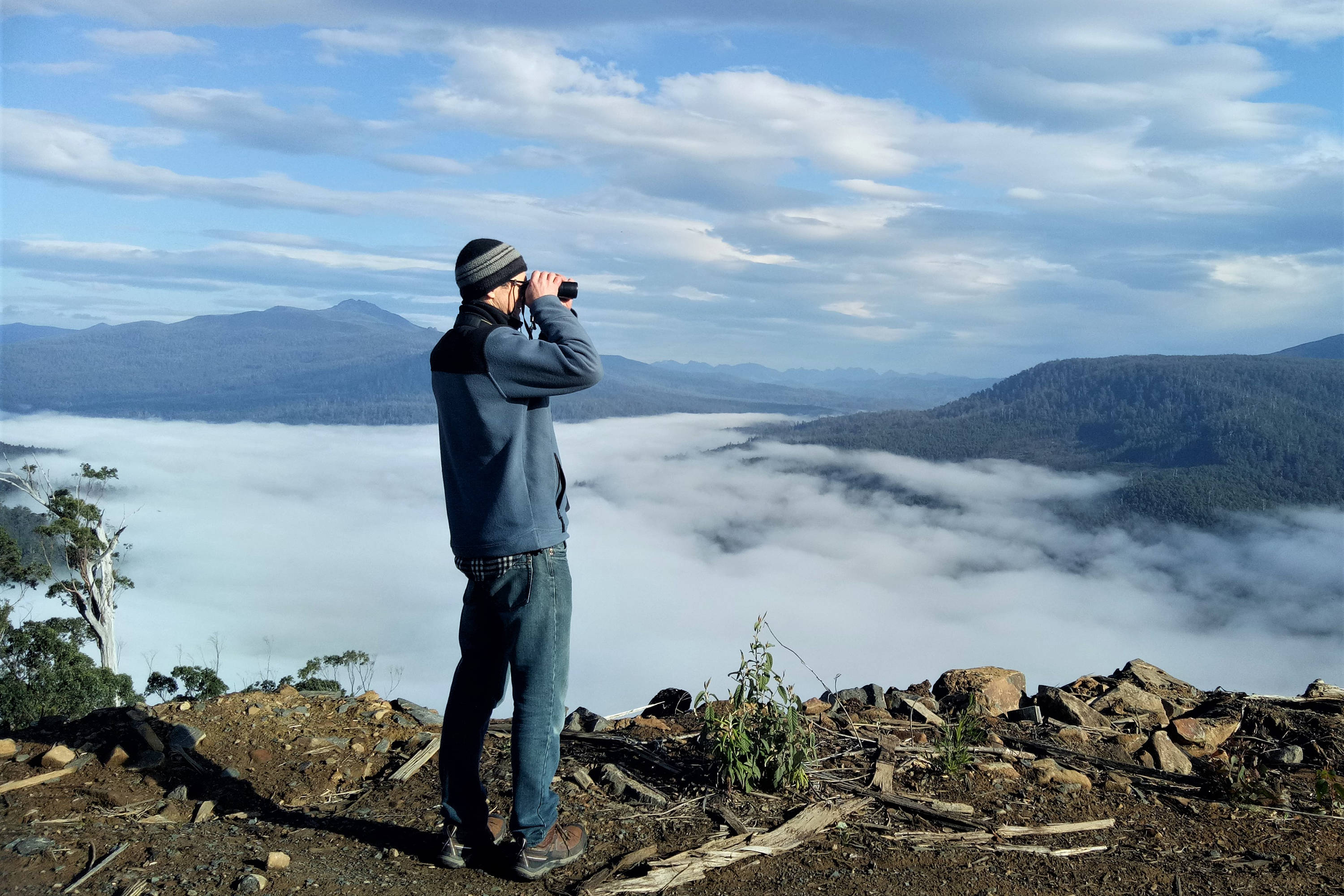 A warmly-dressed man with distant mountains behind him stands on the edge of a slope into a cloud-filled valley, surveying for Where? Where? Wedgie! He directs his binoculars to the right of the photo. Photo: Heidi Krajewsky.
