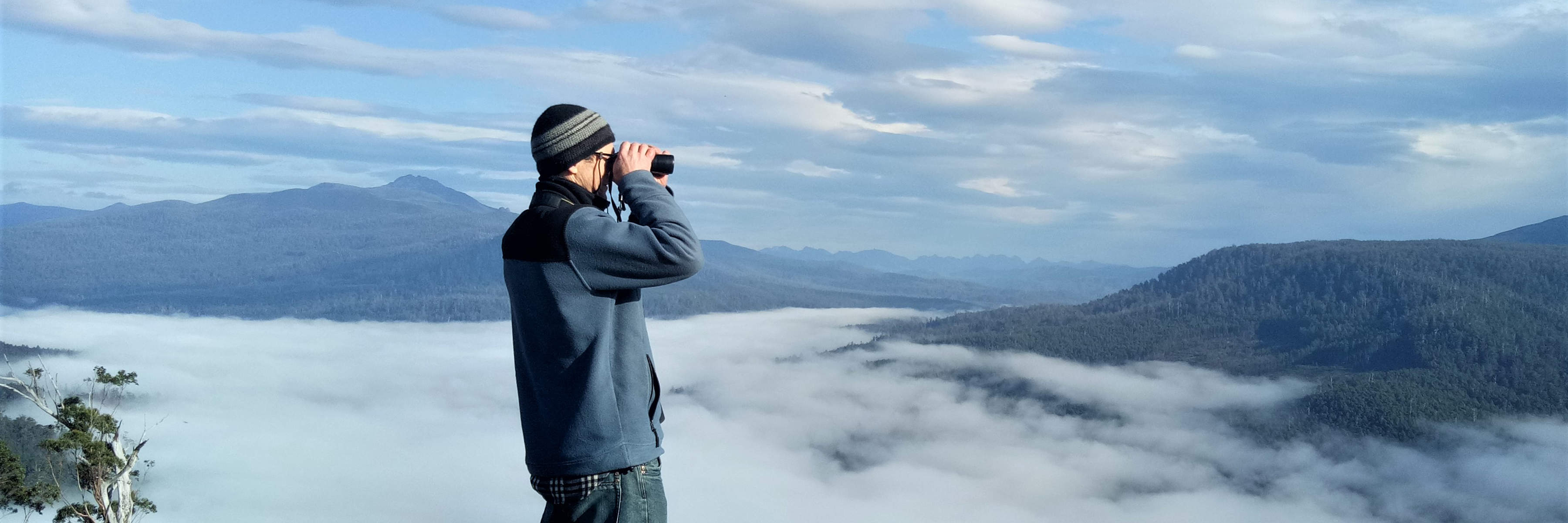 A warmly-dressed man with distant mountains behind him stands on the edge of a slope into a cloud-filled valley, surveying for Where? Where? Wedgie! He directs his binoculars to the right of the photo. Photo: Heidi Krajewsky.