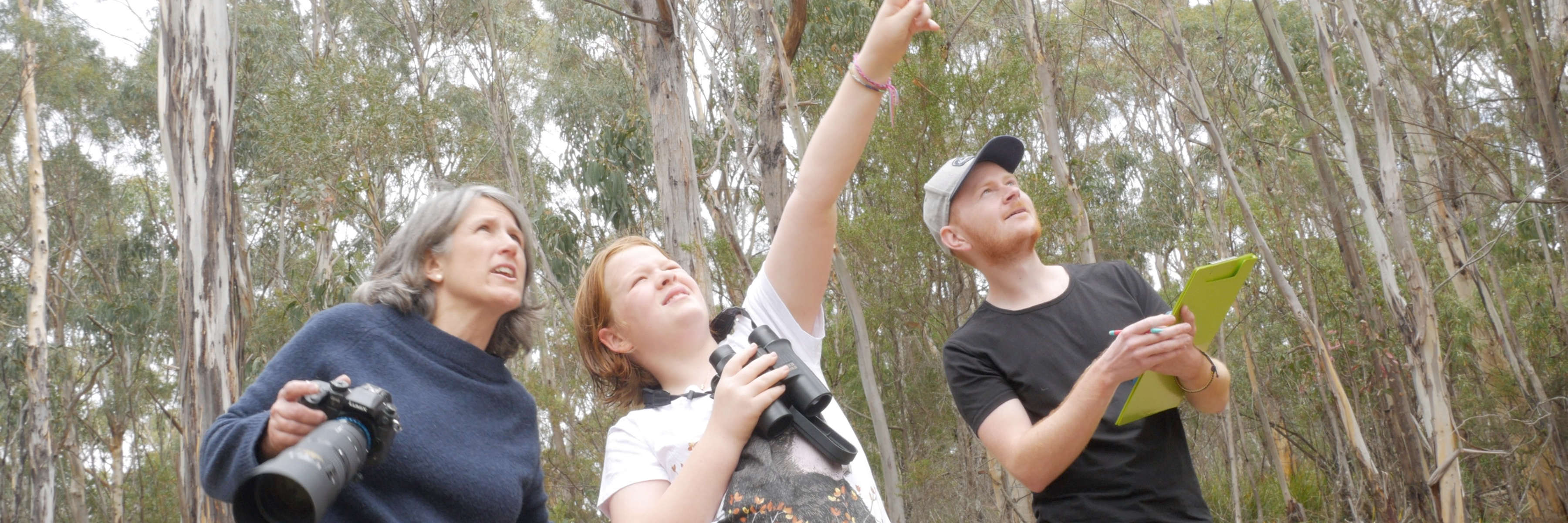 A typical Where? Where? Wedgie! team of three people beside a forest practise for the surveys. One is holding a camera with a long lens, one holds a pair of binoculars and is pointing to the sky, and the third has a clipboard. They are all looking in the direction that the second person is pointing in. One of the team is Clare Hawkins and another is James Pay. Photo: Justin Smith.