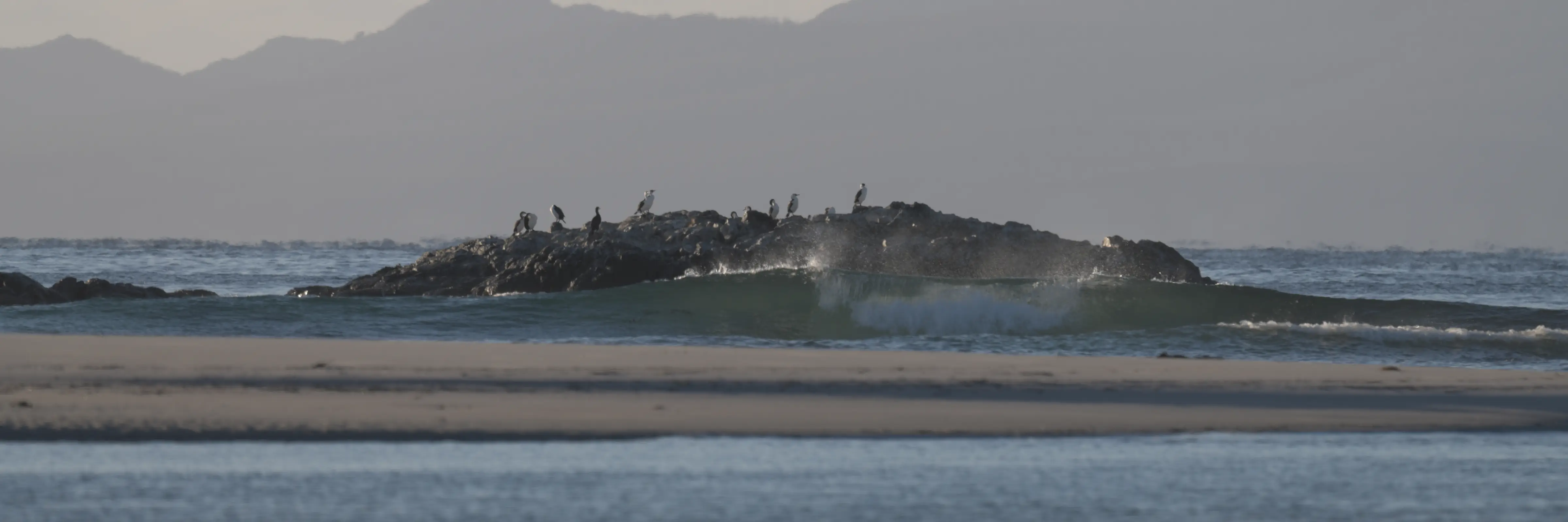 Coastal view. Photo: Clare Hawkins.