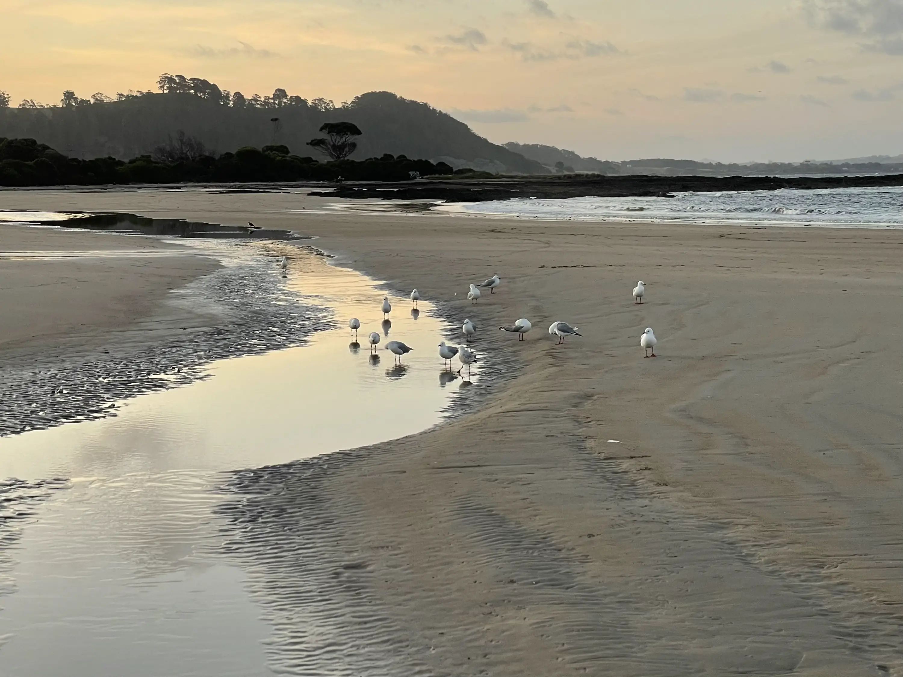 Coastal view. Photo: Clare Hawkins.