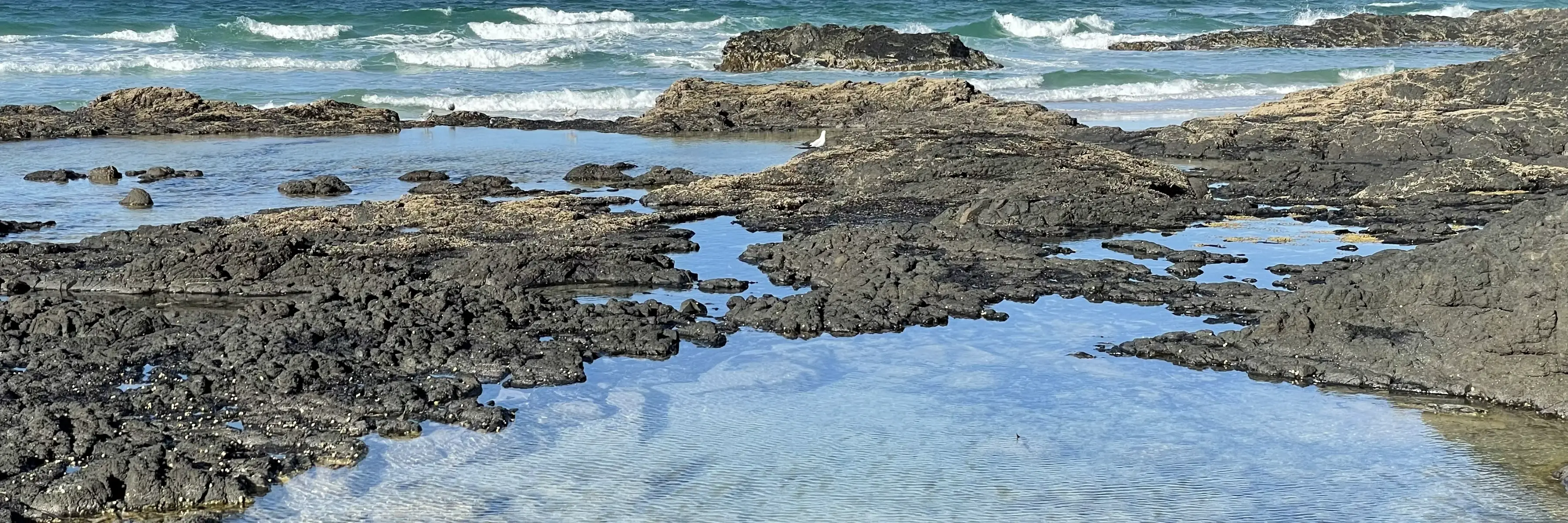 Coastal view. Photo: Clare Hawkins.