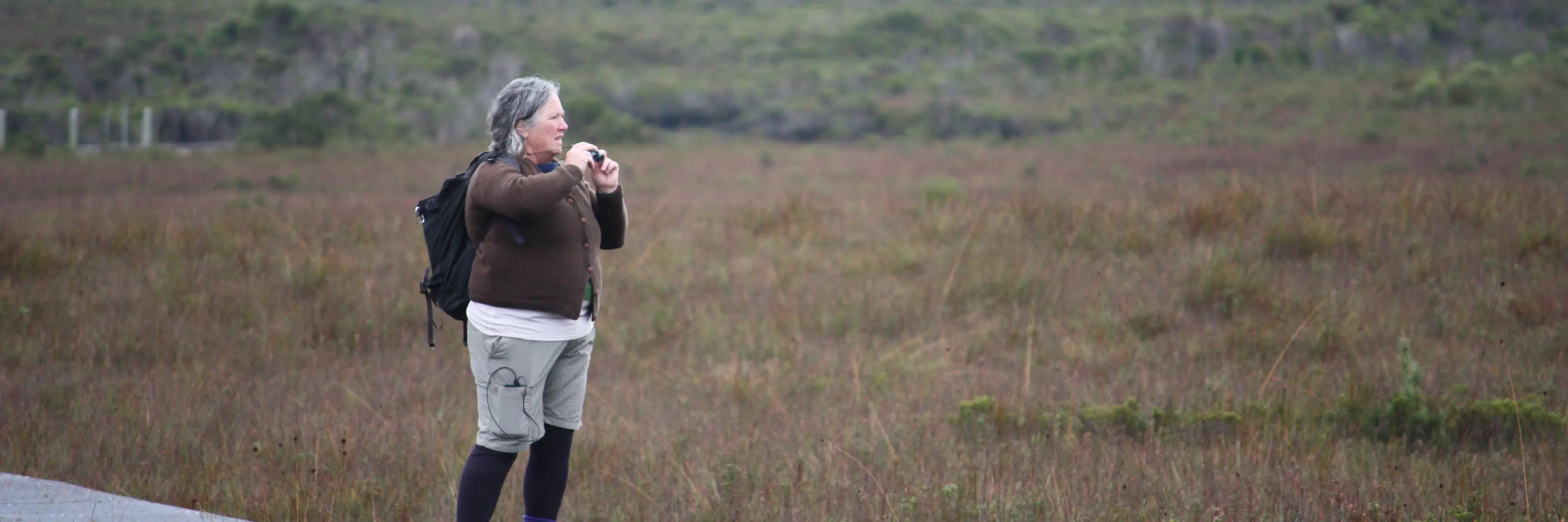 Woman with small backpack and walking gear stands on boardwalk looking off to the right of the scene, with grassland and higher forested ground behind, at Melaleuca, south-west Tasmania. Photo: Persia Brooks.
