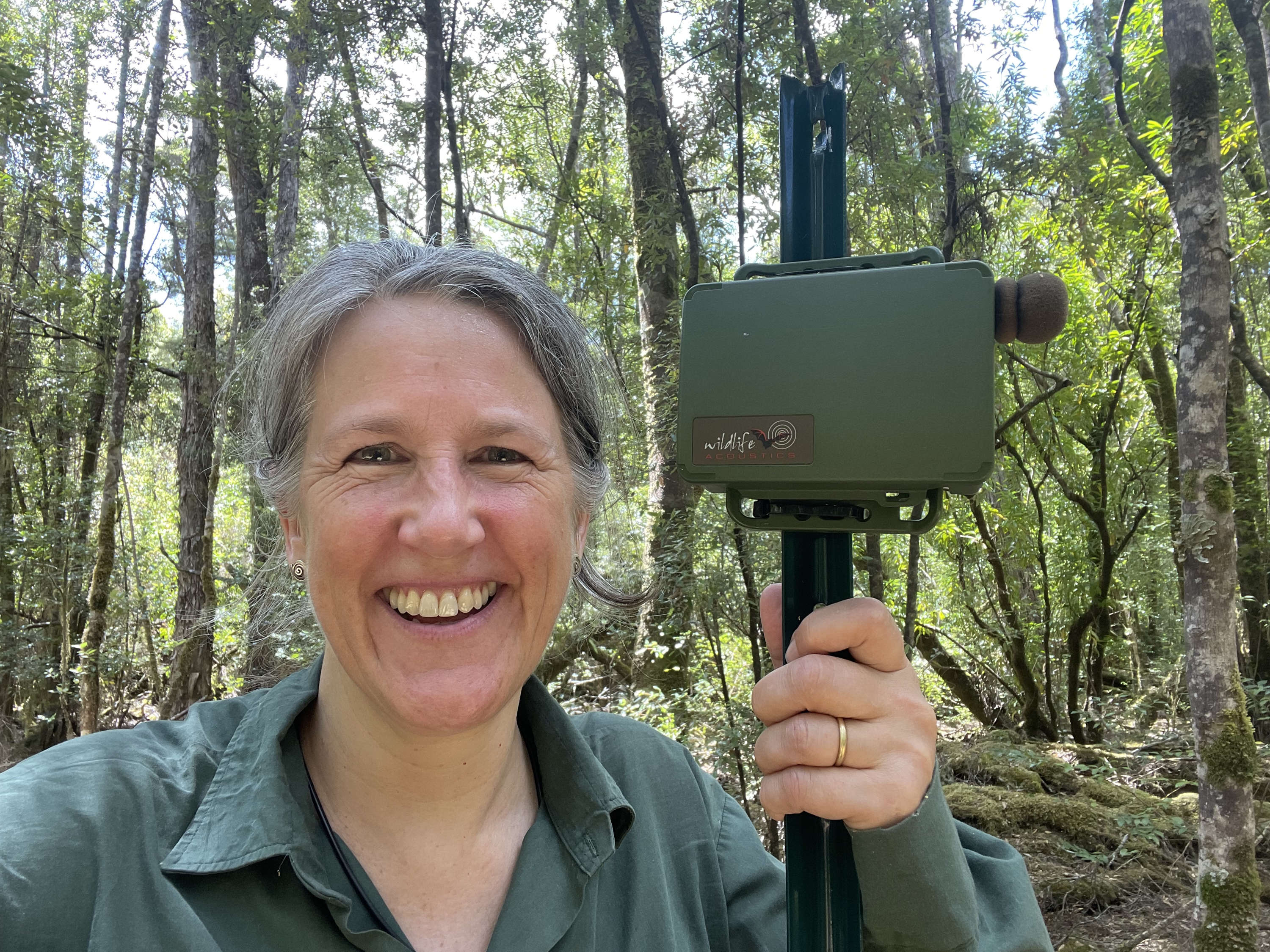 NatureTrackers coordinator Dr Clare Hawkins setting up a small, dark green acoustic recorder on a lightweight pole, in a wet forest in northwest Tasmania. Photo: Clare Hawkins.