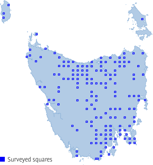 Map of the distribution of squares surveyed in 2020 across Tasmania.