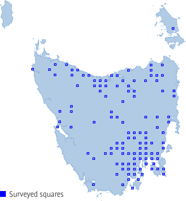 Map of the distribution of squares surveyed in 2024 across Tasmania.