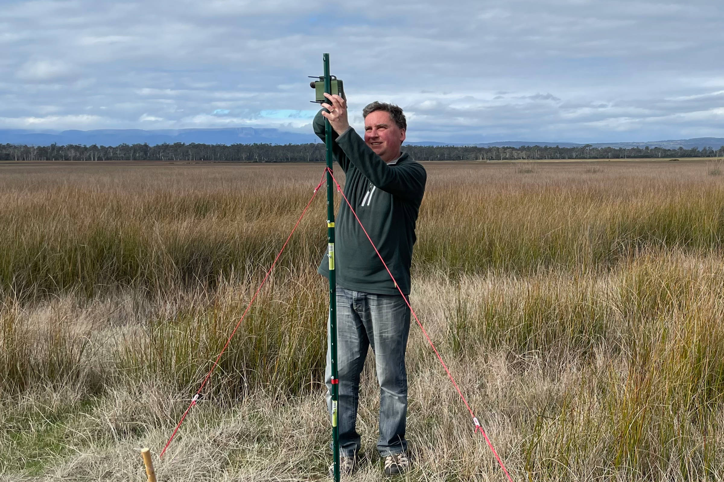 CallTrackers coordinator Dr Jim Lovell setting up a small, dark green acoustic recorder on a lightweight pole, stabilised by cords, in front of a big, open wetland area thick with reeds (promising habitat for the Australasian bittern). Photo: Clare Hawkins.